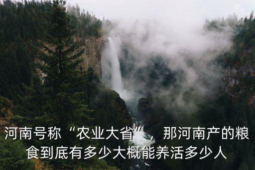 河南號稱“農業大省”，那河南產的糧食到底有多少大概能養活多少人