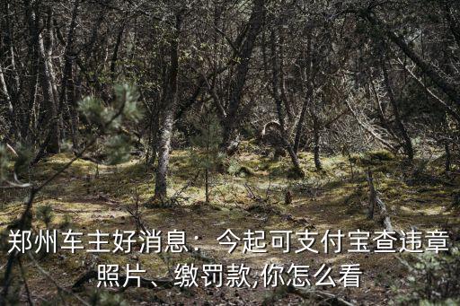 鄭州哪里能查違章照片,今起可支付寶查違章照片