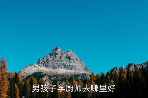 男孩子學廚師去哪里好