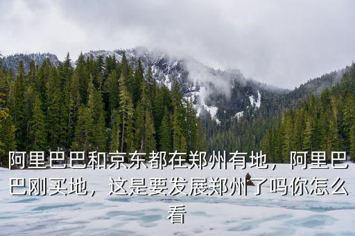 鄭州京東物流都在哪里,阿里巴巴和京東都在鄭州有地