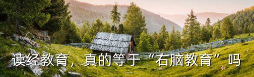 焦作右腦教育怎么樣,真的等于右腦教育嗎