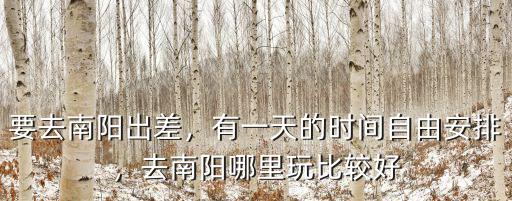 南陽初一去哪里玩,去南陽哪里玩比較好