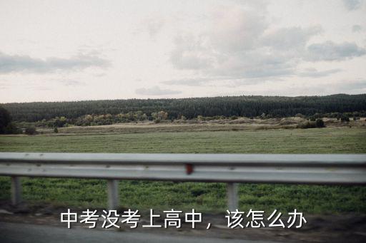 中考沒(méi)考上高中，該怎么辦