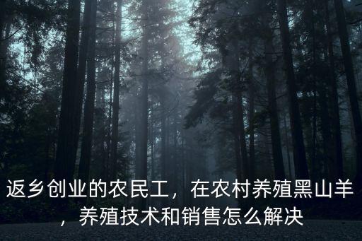 許昌養(yǎng)殖山羊怎么銷售,養(yǎng)殖技術(shù)和銷售怎么解決