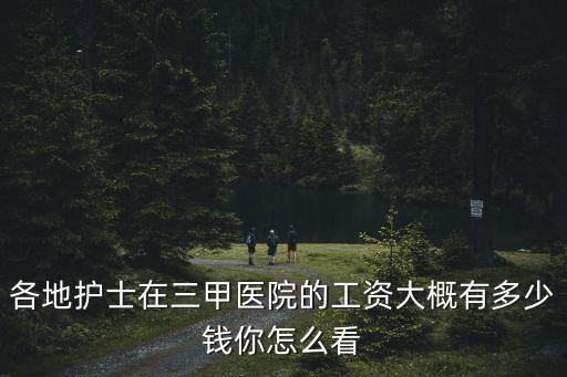三門峽護士工資多少,護士一個月有多少工資