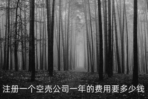 注冊(cè)一個(gè)空殼公司一年的費(fèi)用要多少錢(qián)