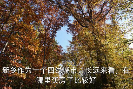 新鄉作為一個四線城市，長遠來看，在哪里買房子比較好