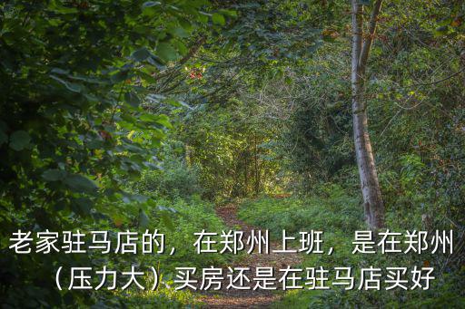 老家駐馬店的，在鄭州上班，是在鄭州（壓力大）買房還是在駐馬店買好