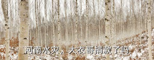 鞠婧?t河南捐款了多少,河南洪災你捐款了嗎