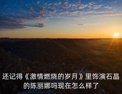 還記得《激情燃燒的歲月》里飾演石晶的陳麗娜嗎現在怎么樣了
