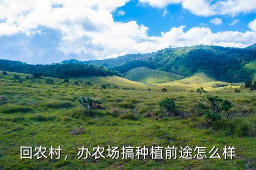 回南陽農(nóng)村種地怎么樣,回河南農(nóng)村種菜怎么樣