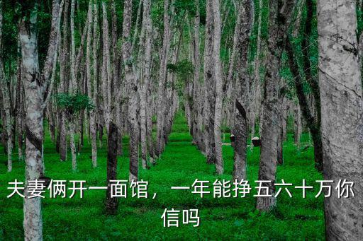 夫妻倆開一面館，一年能掙五六十萬你信嗎
