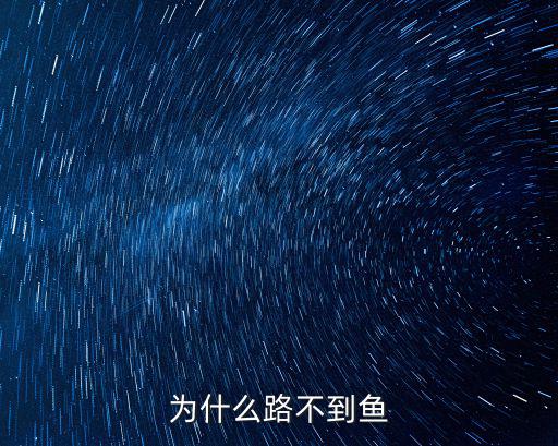 為什么路不到魚