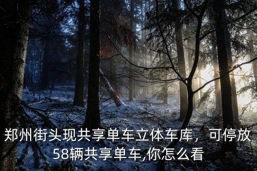 鄭州共享單車停放點(diǎn)怎么設(shè)置,可停放58輛共享單車