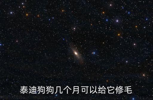 開封哪里有給狗狗剪毛的,怎么給狗狗剪毛