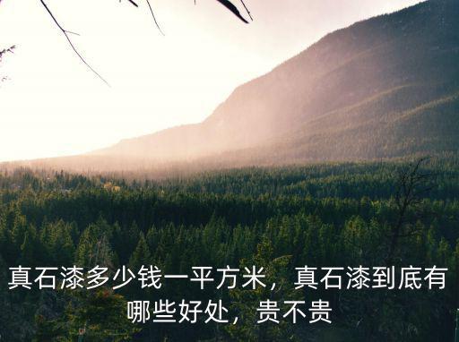 新鄉真石漆價格多少,真石漆多少錢一平方米