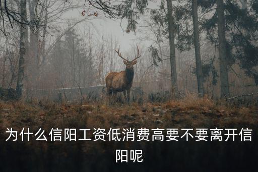 為什么信陽工資低消費高要不要離開信陽呢