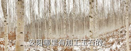 安陽古玩市場哪里有賣,安陽哪里有加工玉石的
