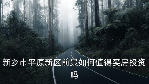 新鄉(xiāng)市平原新區(qū)前景如何值得買房投資嗎