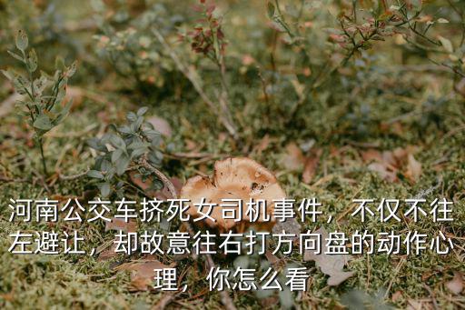 河南公交車擠死女司機事件，不僅不往左避讓，卻故意往右打方向盤的動作心理，你怎么看