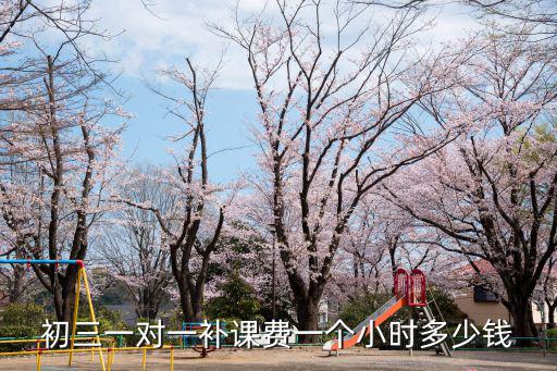 開封一對一上門補課多少錢,初三學生一對一補課