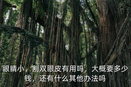 眼睛小，割雙眼皮有用嗎，大概要多少錢，還有什么其他辦法嗎