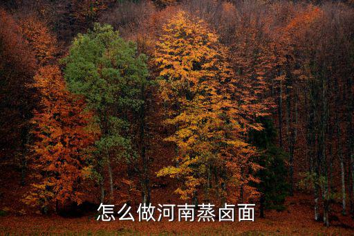河南鹵面怎么鹵才好吃,鹵面怎么做好吃