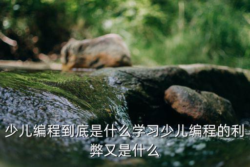 少兒編程到底是什么學習少兒編程的利弊又是什么