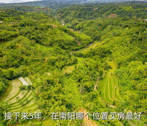 南陽老城區(qū)在哪里,在南陽哪個位置買房最好