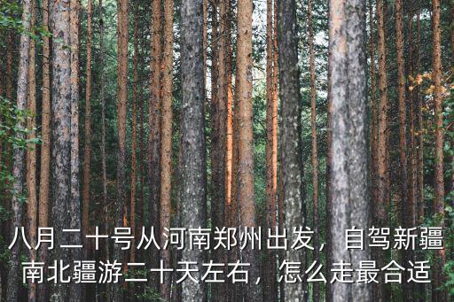 八月二十號(hào)從河南鄭州出發(fā)，自駕新疆南北疆游二十天左右，怎么走最合適
