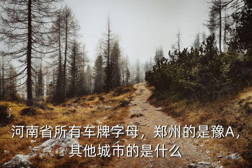 濟(jì)源的車牌怎么換成鄭州的,鄭州的是豫A
