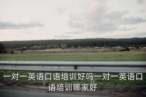 信陽一對一英語哪里好,一對一英語口語培訓好嗎
