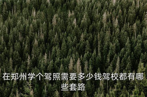 鄭州順興駕校怎么樣,鄭州中心駕校怎么樣