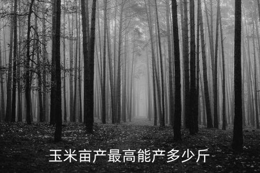 玉米畝產最高能產多少斤