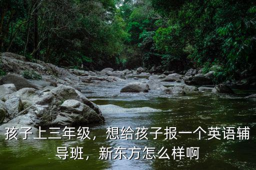 孩子上三年級，想給孩子報一個英語輔導班，新東方怎么樣啊