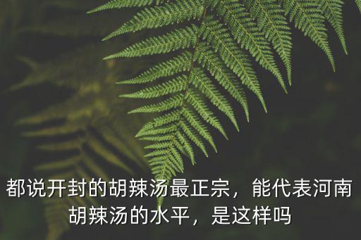 都說開封的胡辣湯最正宗，能代表河南胡辣湯的水平，是這樣嗎