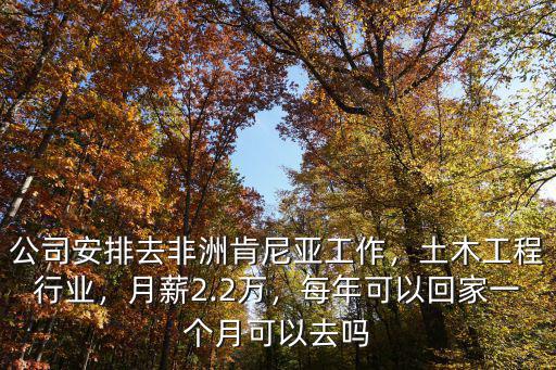 公司安排去非洲肯尼亞工作，土木工程行業，月薪2.2萬，每年可以回家一個月可以去嗎