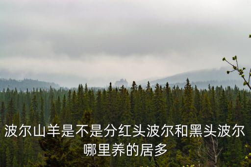 波爾山羊是不是分紅頭波爾和黑頭波爾哪里養(yǎng)的居多
