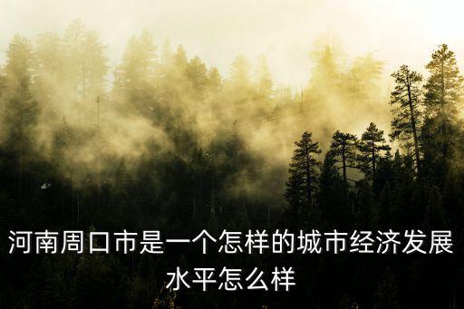 河南周口市是一個怎樣的城市經(jīng)濟發(fā)展水平怎么樣