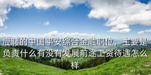 應聘的中國平安綜合金融職位，主要是負責什么有沒有發(fā)展前途工資待遇怎么樣