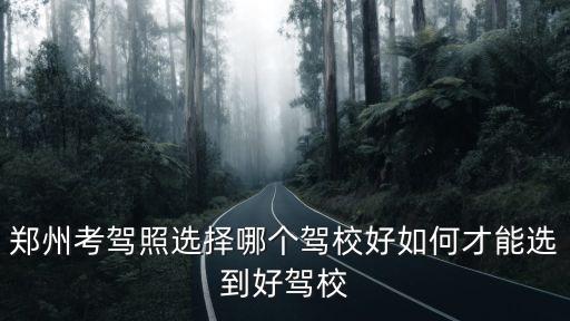 鄭州恒順駕校怎么樣,鄭州中心駕校怎么樣