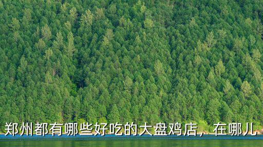 鄭州哪里燉雞好吃,鄭州哪家豬肚雞最正宗
