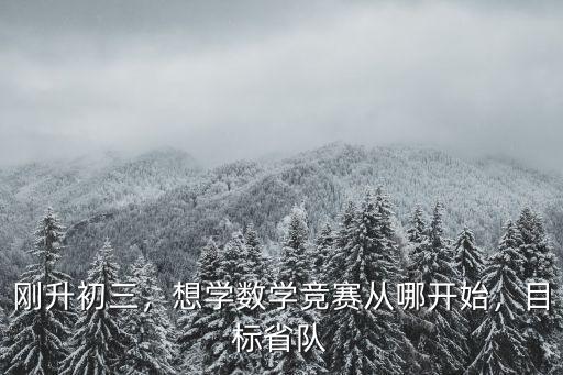 河南數學競賽省隊怎么選,數學競賽怎么入門學習