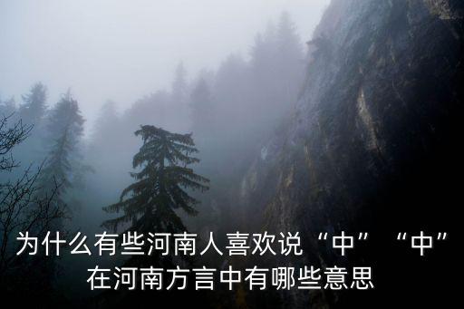 為什么有些河南人喜歡說“中”“中”在河南方言中有哪些意思