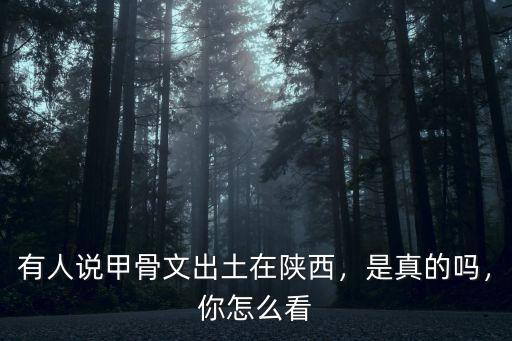 有人說甲骨文出土在陜西，是真的嗎，你怎么看