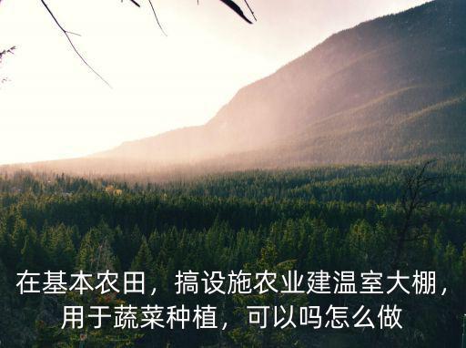 新鄉溫室連棟大棚怎么建,連棟溫室大棚如何建造合作