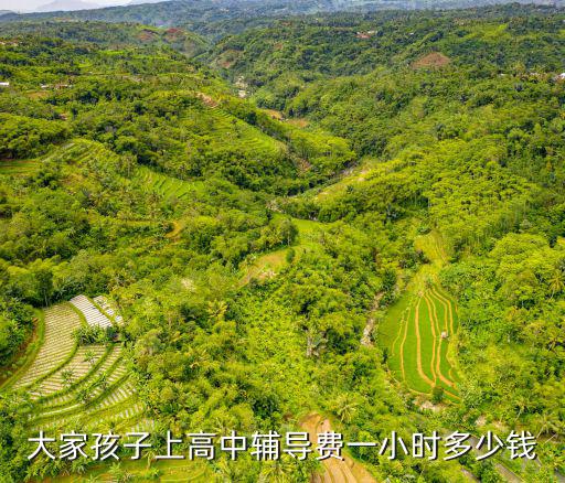 大家孩子上高中輔導費一小時多少錢