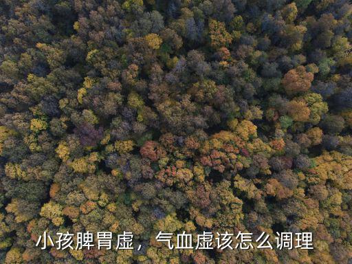 小孩脾胃虛，氣血虛該怎么調理