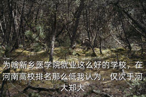 為啥新鄉醫學院就業這么好的學校，在河南高校排名那么低我認為，僅次于河大鄭大