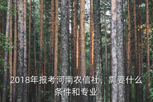 2020河南農信社有多少人報名,2018年報考河南農信社